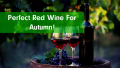 Perfect Red Wine For Autumn!