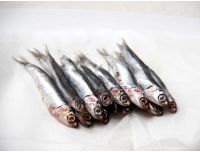 Grocery Delivery London - Anchovies (fresh) 105g same day delivery