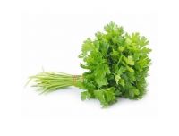 Grocery Delivery London - Coriander Leaves Bunch same day delivery