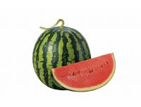 Watermelon Medium Size
